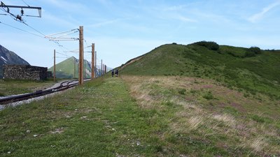 Effet du piétinement sur la reprise de la végétation au col du mont Lachat renaturé.