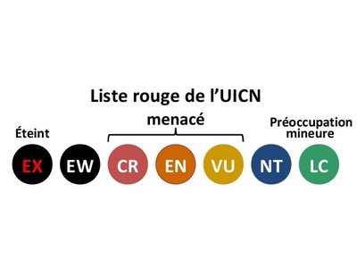 Liste rouge UICN