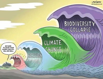 Crise de la biodiversité