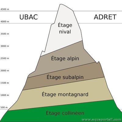 Zonage de montage : les différents étages