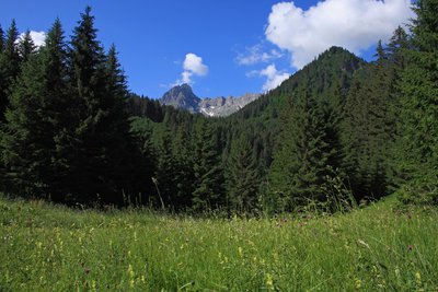 Panorama prairie La Laya