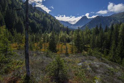 Tourbières de la Rosière