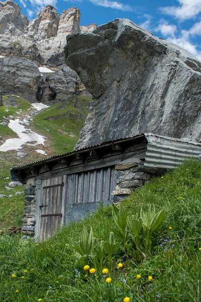 La cabane à Tintin et la pierre à l'ours