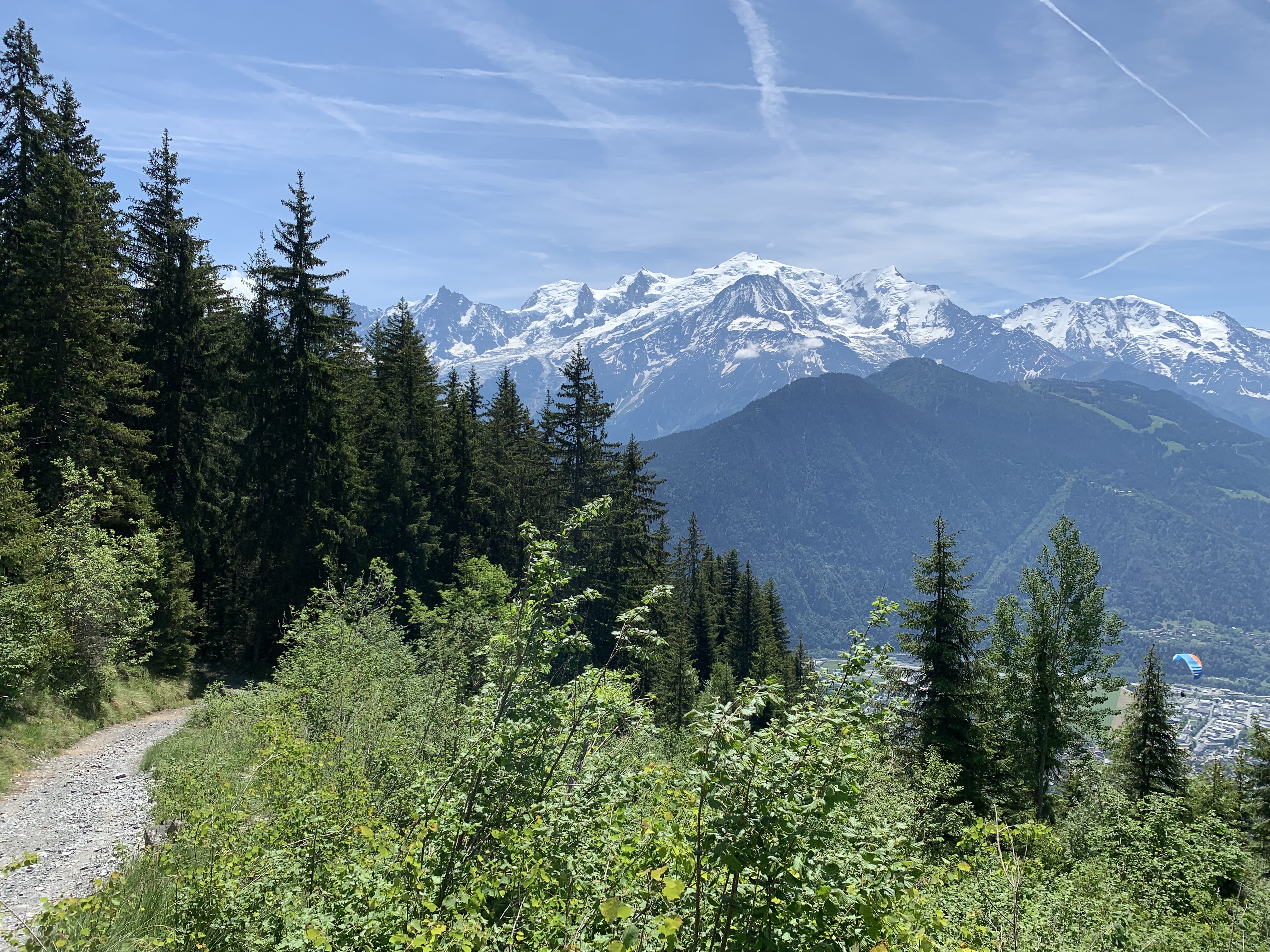 Vue sur le massif du Mont-Blanc