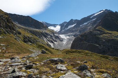 Tré la tête en automne