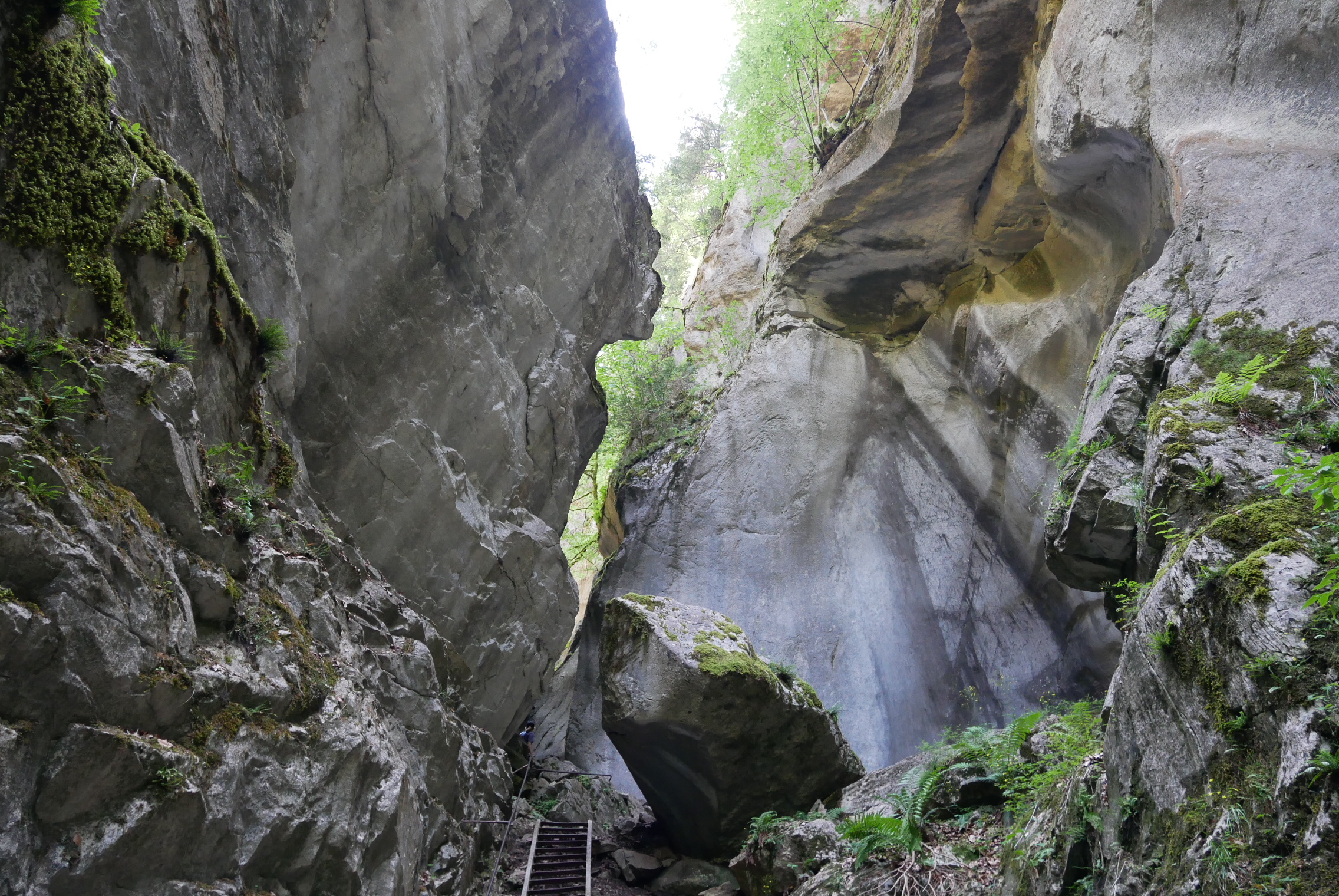 Gorge de Tines, passage échelle