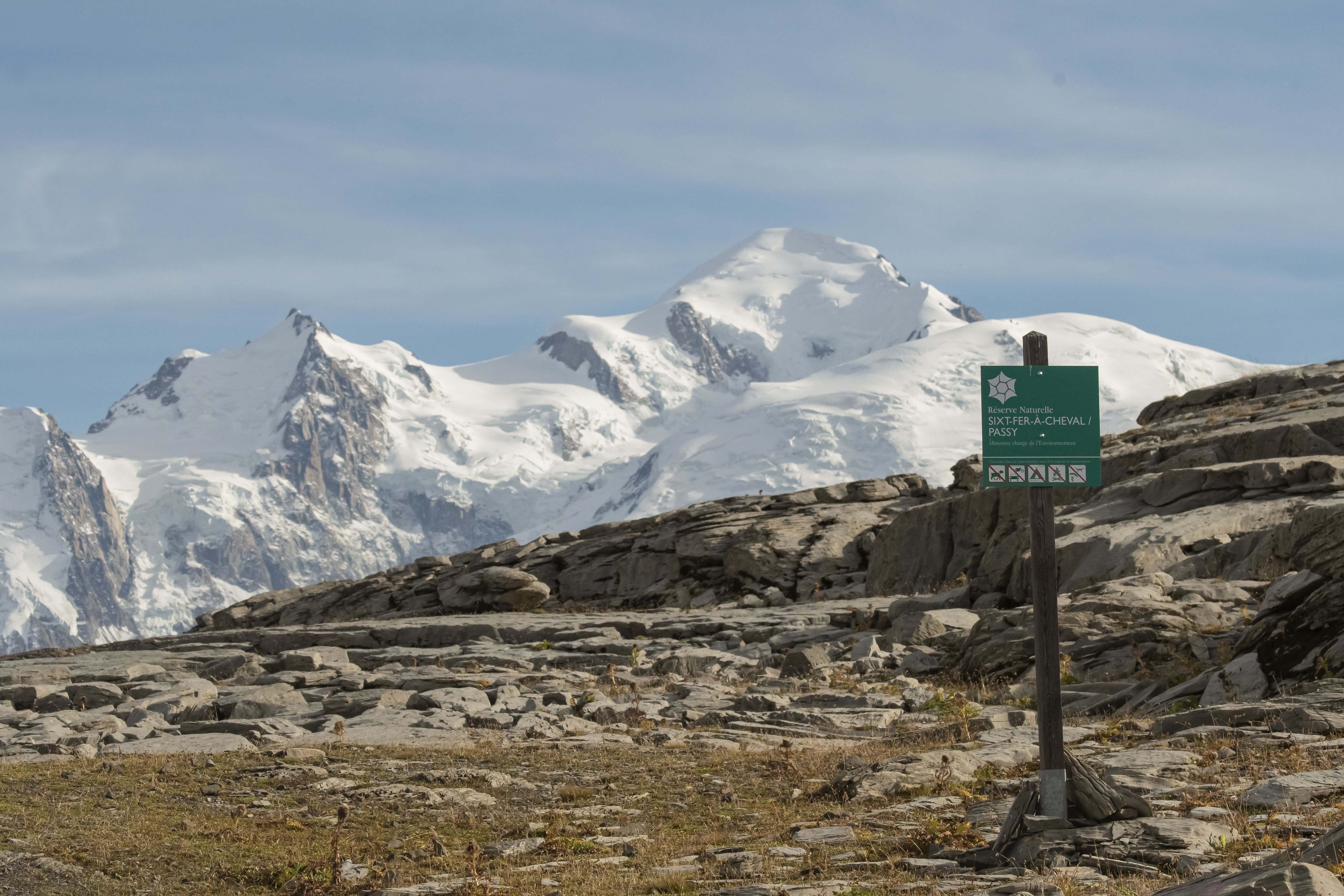 Désert de platé