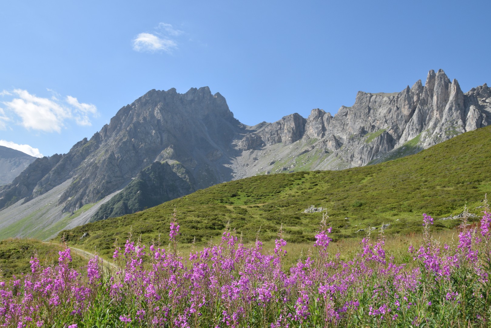 Vue générale sur les Prés